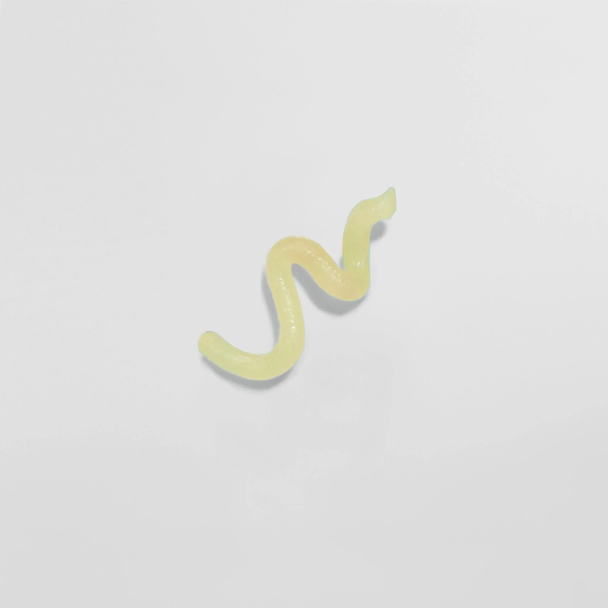 Lip Balm (2er Set) - Image 3